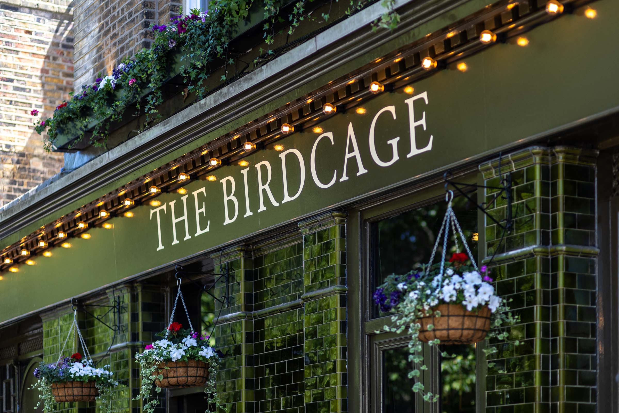 Armfield | The Birdcage
